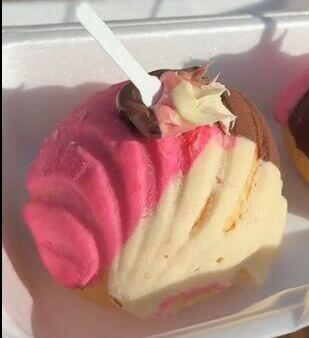 MINI CONCHA ESPECIAL 